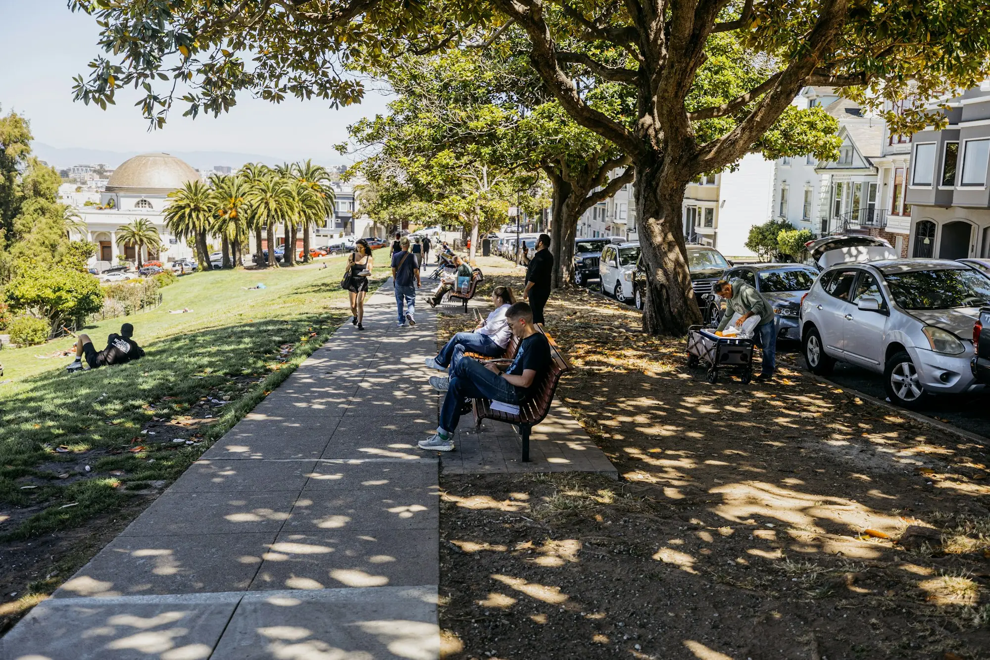 Person checking a credit report on a mobile phone while sitting on a Sydney park bench