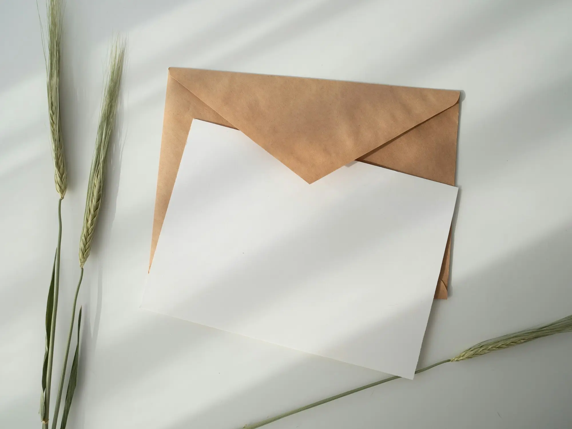 Official-looking envelope and opened letter on a company director's desk
